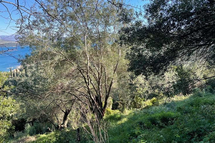 Realty photo 3
