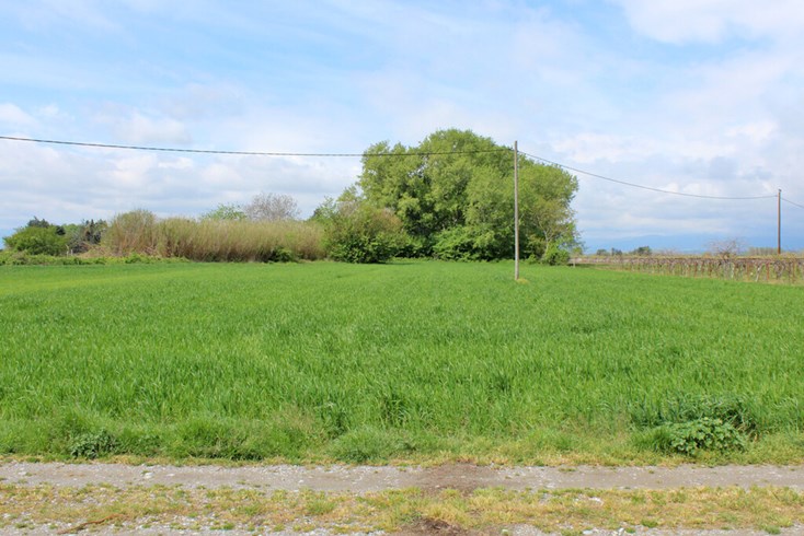 Realty photo 2