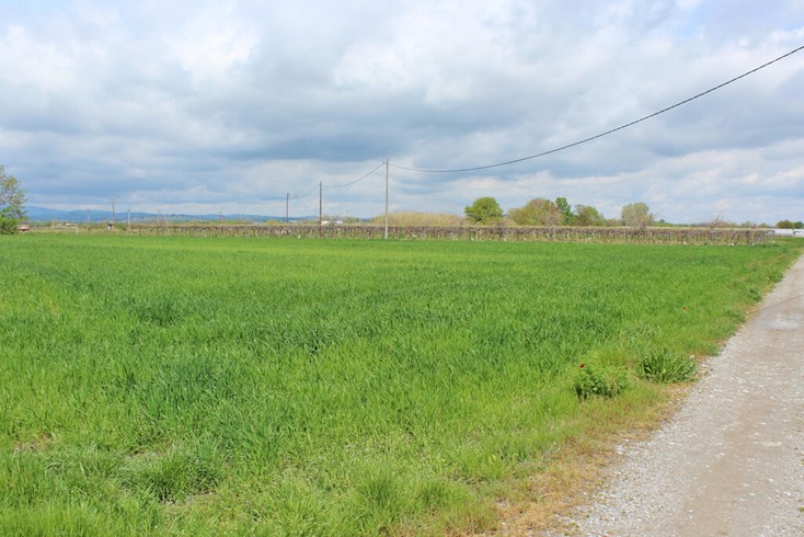 Realty photo 1