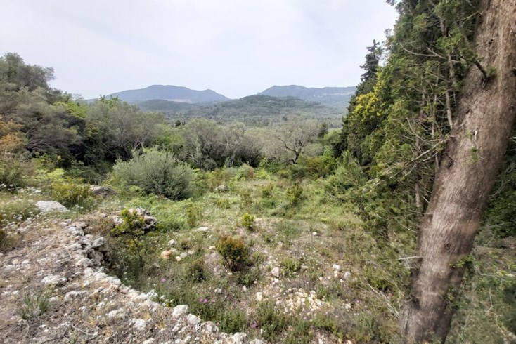 Realty photo 1