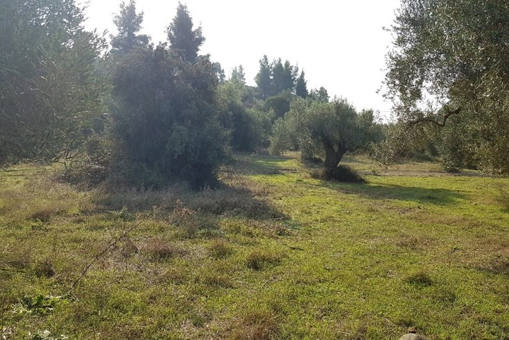 Realty photo 1
