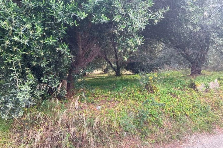 Realty photo 3