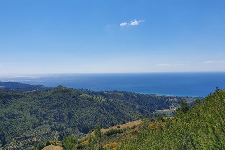 Realty photo 3