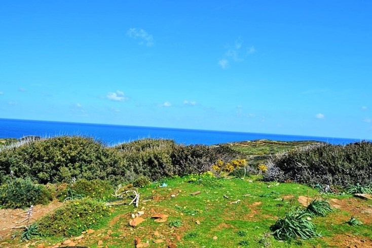 Realty photo 3
