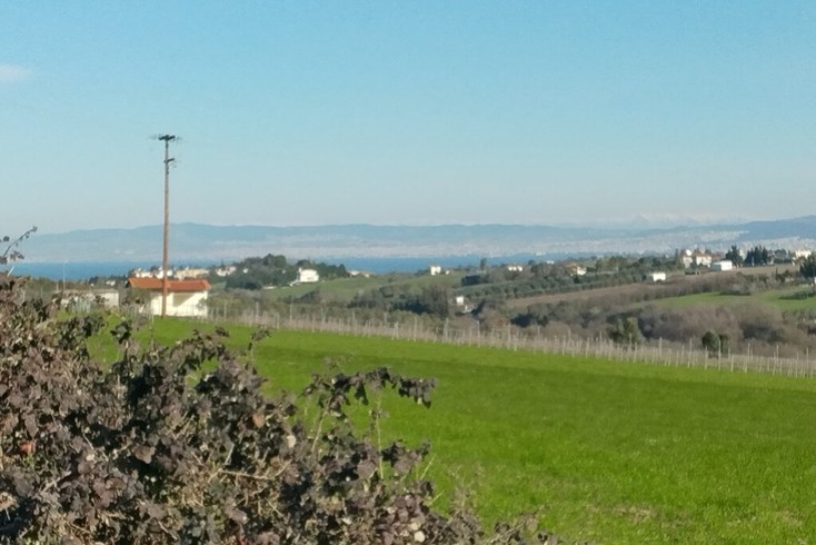 Realty photo 1