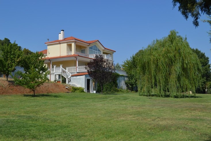 Realty photo 1