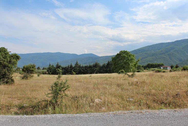 Realty photo 2