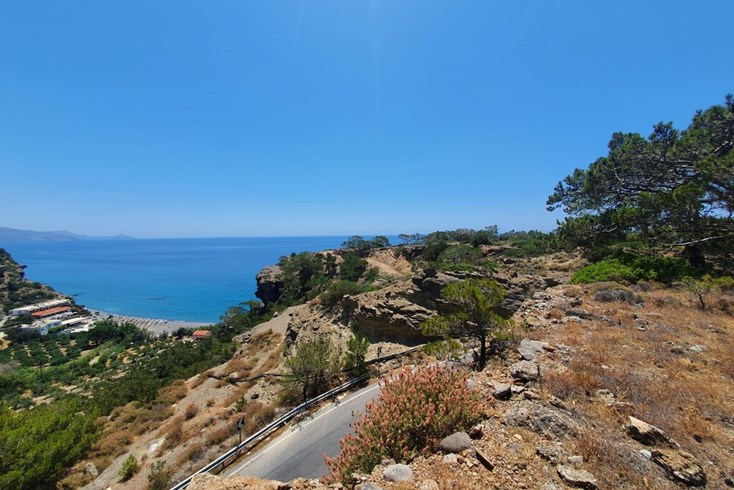 Realty photo 2