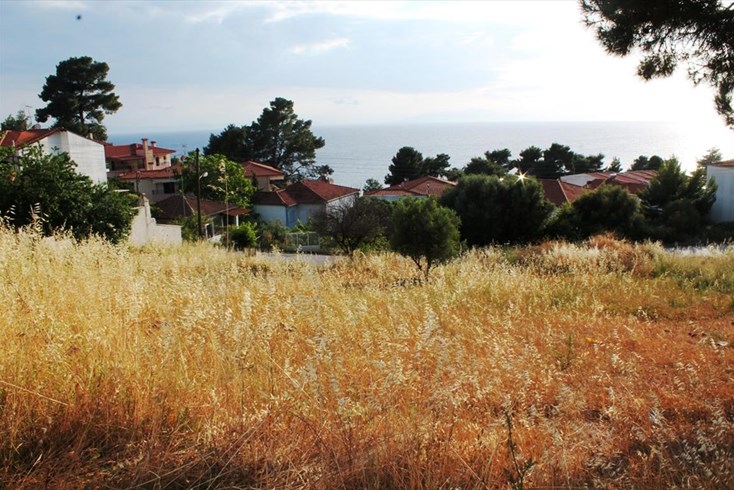Realty photo 1