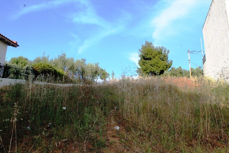 Realty photo 2
