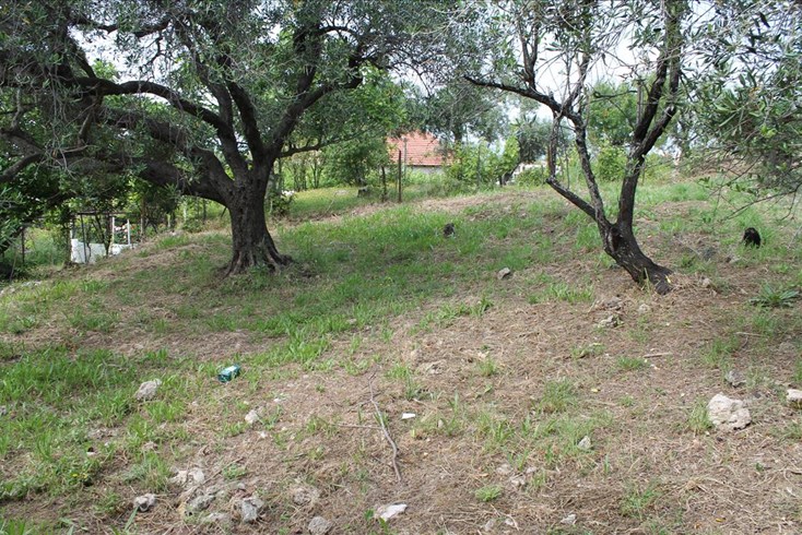 Realty photo 3