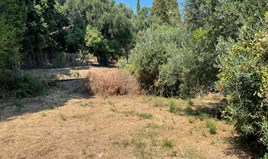 Land 308 m² in Corfu