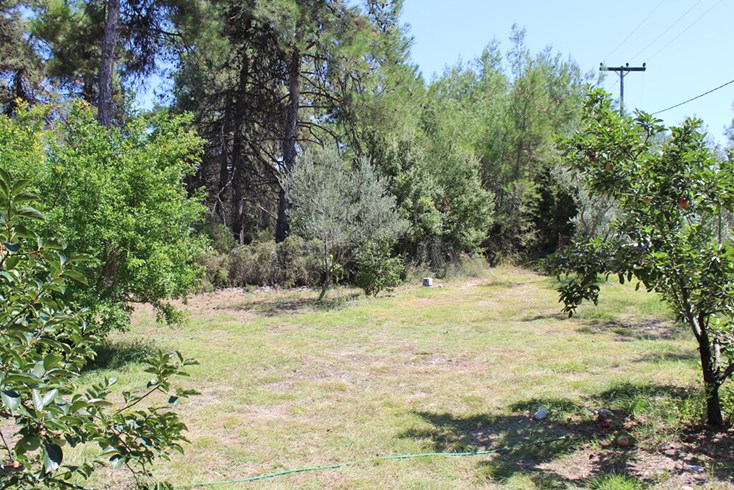 Realty photo 2