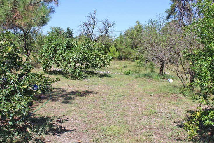 Realty photo 3