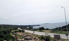Land 4650 m² on the island of Thassos