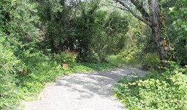 Парцел 22000 m² на о-в Корфу