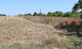 Land 4675 m² in central Greece