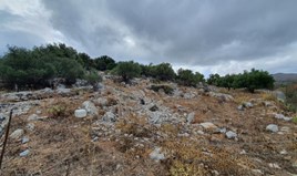 Land 1000 m² in central Greece