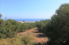 Property 5112 photo 4