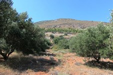 Property 5112 photo 5