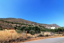 Property 5112 photo 6