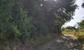 Land 4000 m² in central Greece