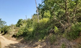 Land 2300 m² in central Greece