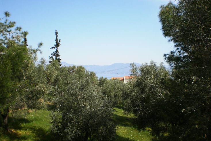 Realty photo 2
