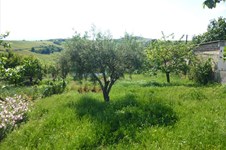 Property 5125 photo 1