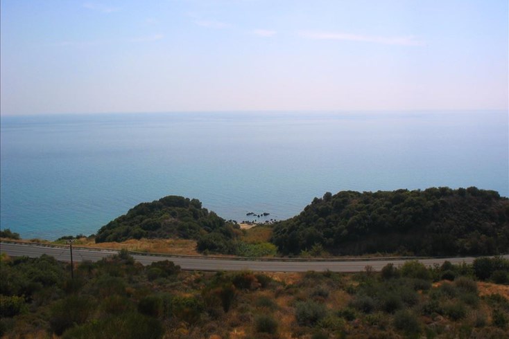 Realty photo 2