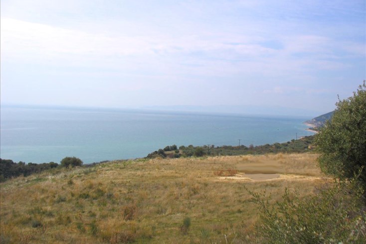 Realty photo 3