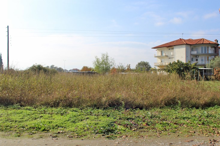 Realty photo 2