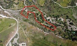 Land 14047 m² in central Greece