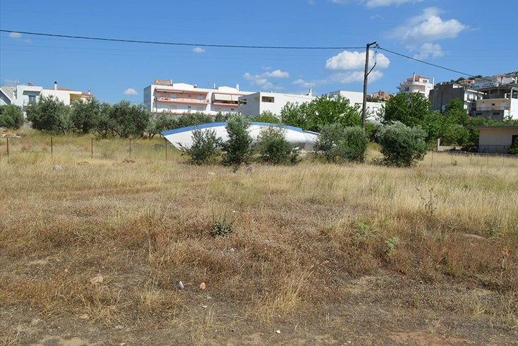Realty photo 2