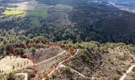 Land 18395 m² in central Greece