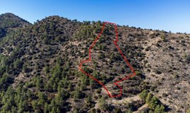 Land 8139 m² in central Greece