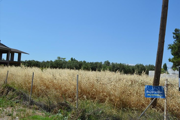 Realty photo 3