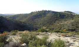 Land 22743 m² in central Greece