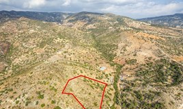 Land 6689 m² in central Greece