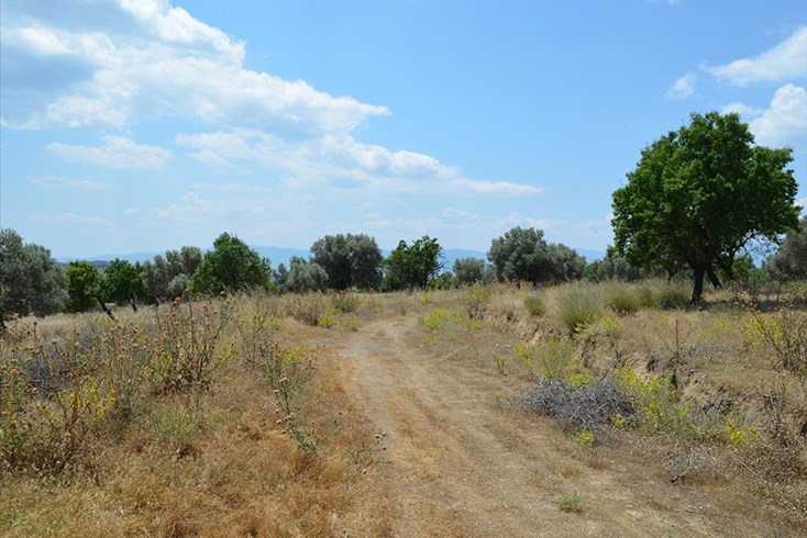 Realty photo 3
