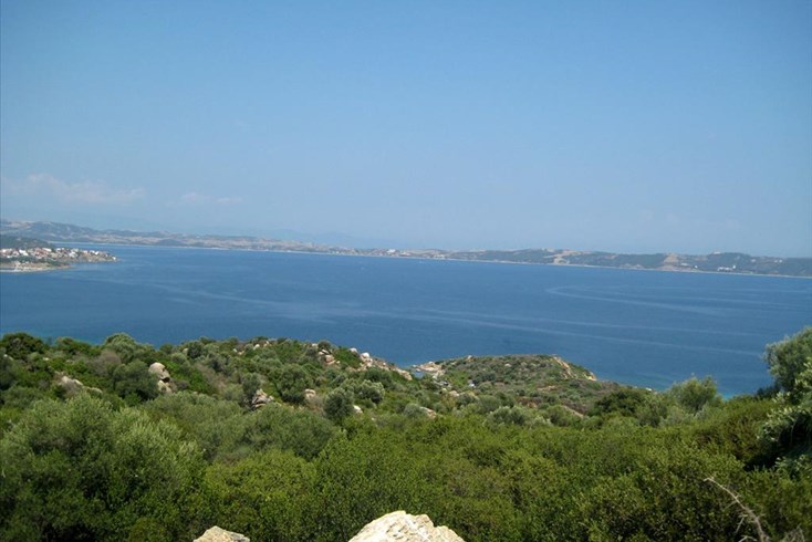 Realty photo 1