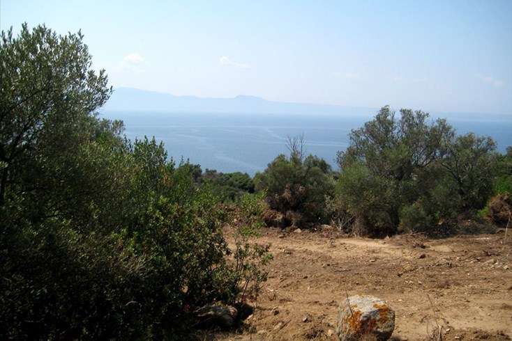 Realty photo 2