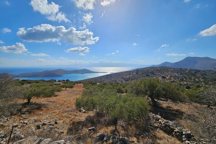 Realty photo 2
