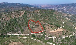 Земельна ділянка 9031 m² в центральній Греції