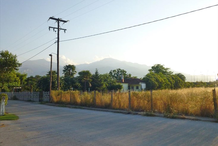 Realty photo 1