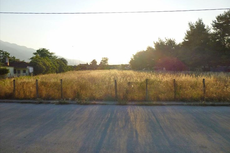 Realty photo 3