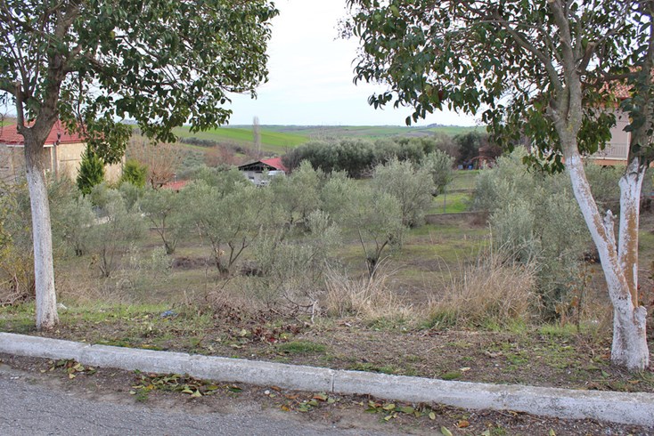 Realty photo 3