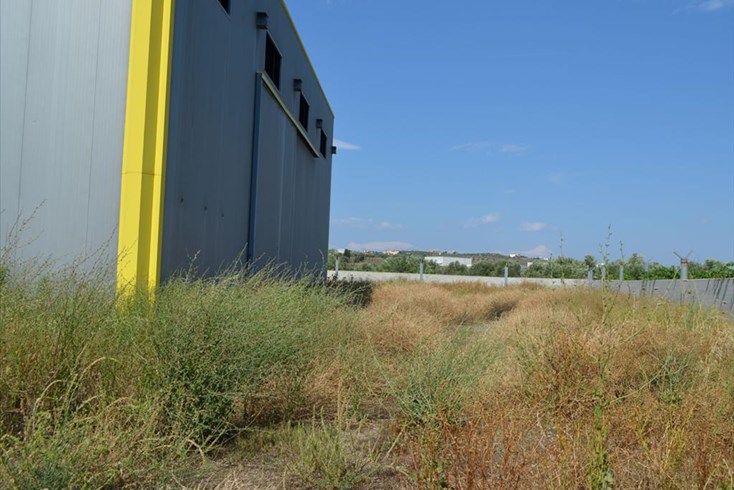 Realty photo 3