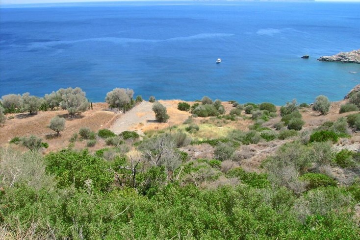Realty photo 2
