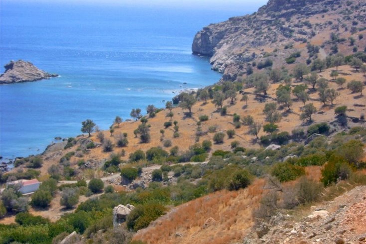 Realty photo 3